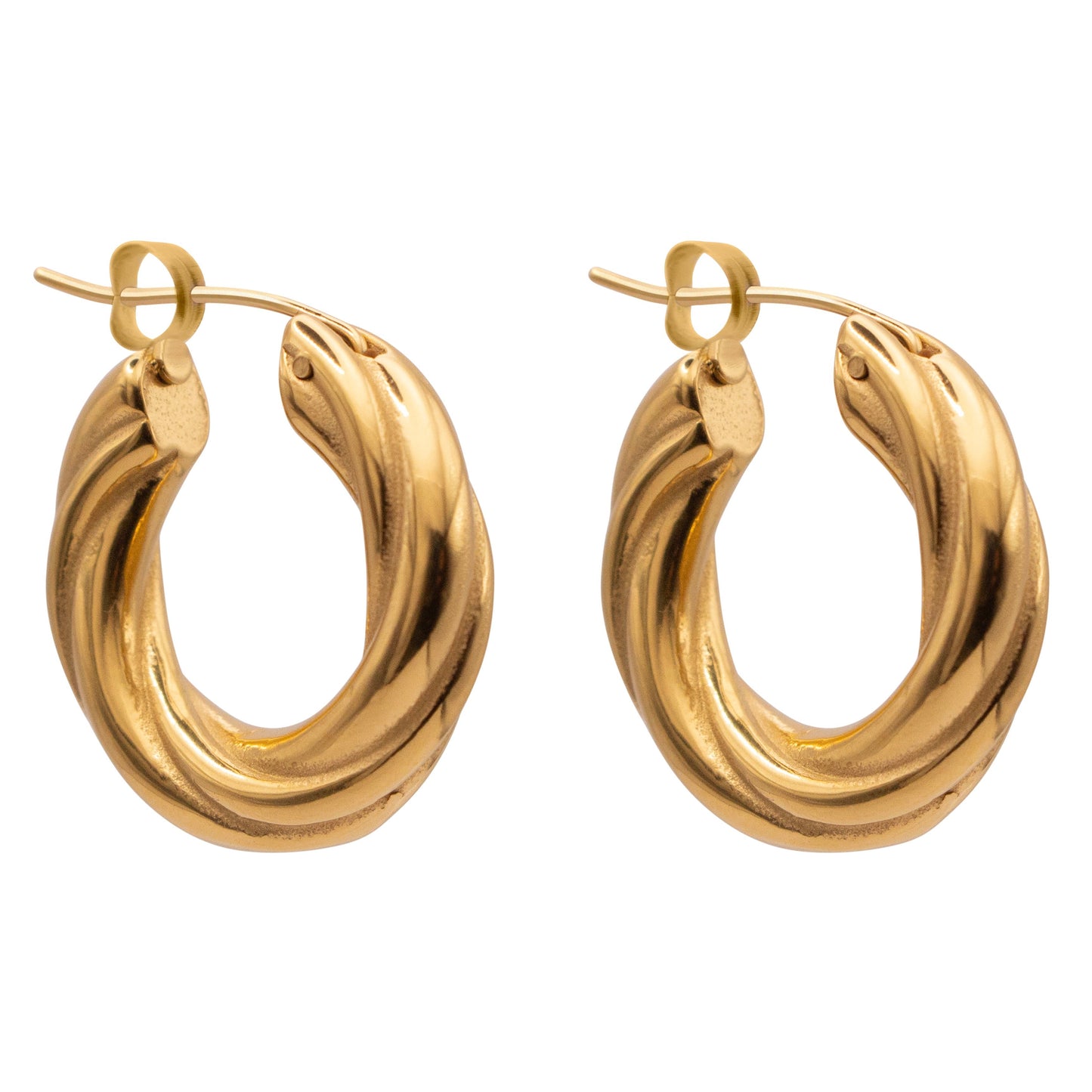 Twisted Hoops